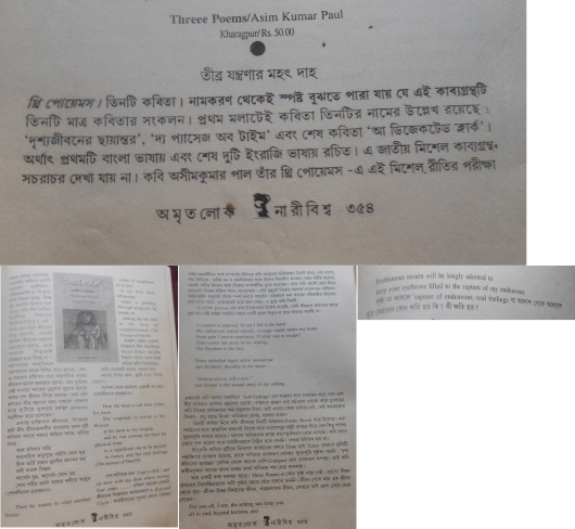 First published criticism of my first poetry book, Three Poems,